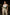 Plus-size khaki three-strap thick corset waist belt by HarnessClub